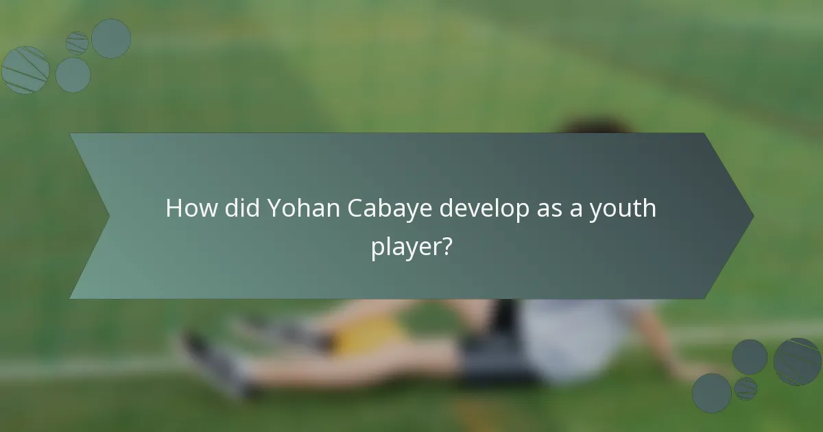 How did Yohan Cabaye develop as a youth player?