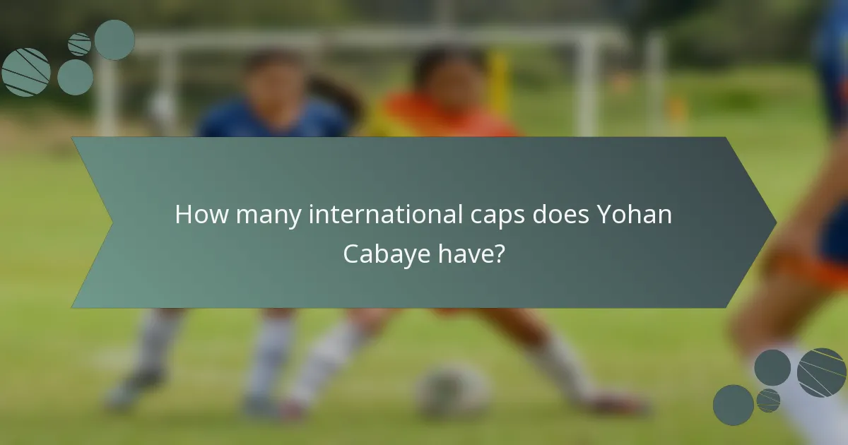 How many international caps does Yohan Cabaye have?